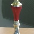 DSCF3354