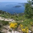 IMG 20220523 WA0000