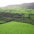 Verte Irlande... route de Dingle