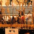 CHINE 2009-brochettes