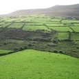 Verte Irlande... route de Dingle